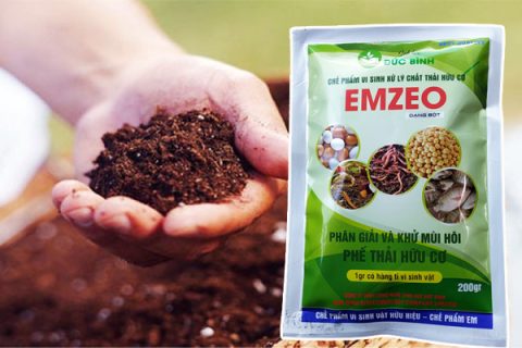 Cách ủ phân hữu cớ chuẩn nhà nông, sử dụng chế phẩm sinh học nhằm khử mùi hôi và rút ngắn thời gian tạo ra phân hữu cơ