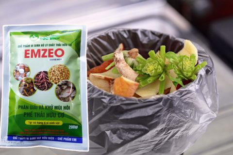 Cách ủ rác nhà bếp không hôi, không giòi là sử dụng chế phẩm emzeo kết hợp với nấm trichoderma để ủ