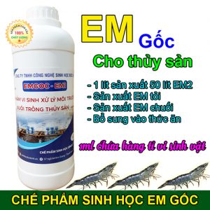 Chế phẩm vi sinh EM gốc - sản phẩm chuyên dụng cho nuôi trồng thủy sản của Sinh học Đức Bình