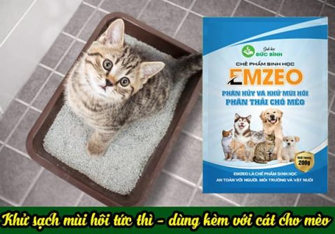 Khử mùi hôi chuồng trại chó mèo rất đơn giản với chế phẩm khử mùi hôi chó mèo Emzeo