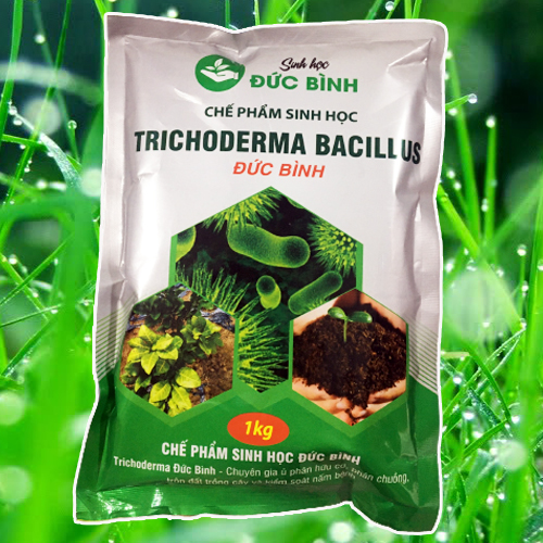 Nấm trichoderma bacillus Đức Bình loại 1kg sử dụng hiệu quả cao
