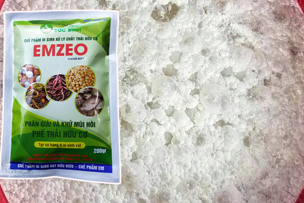 Ủ bã đậu nành với chế phẩm Emzeo tạo ra dịch đạm tưới cây hiệu quả cao