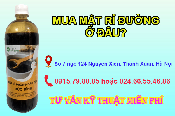 Mua mật rỉ đường giá rẻ chất lượng cao tại Hà Nội