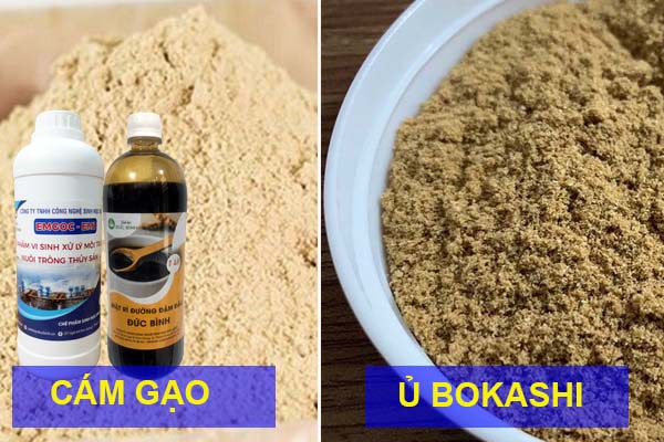 Cách ủ cám gạo lên men - Bokashi cho tôm