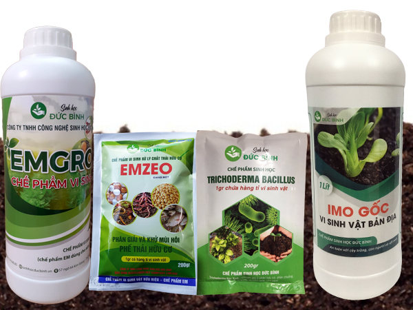 Các loại chế phẩm vi sinh xử lý chất thải hữu cơ. Chế phẩm vi sinh được sử dụng trong xử lý chất thải hữu cơ
