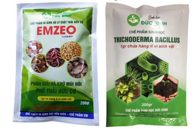 Men vi sinh Trichoderma Bacillus và chế phẩm EMZEO giúp ủ bã trà bón cây hiệu quả