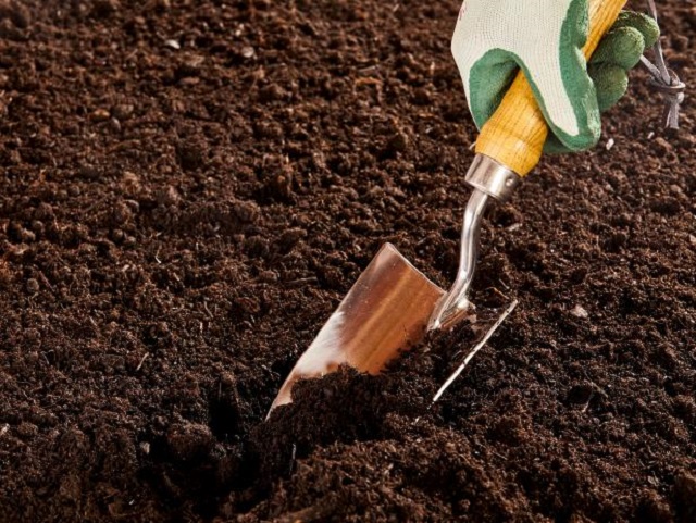 Sử dụng chế phẩm vi sinh vật giúp đất tơi xốp và giàu dinh dưỡng hơn